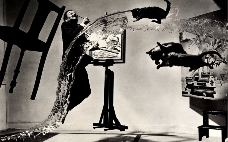 painters, floating, Salvador Dalí, 1080P, cat, monochrome, chair, water