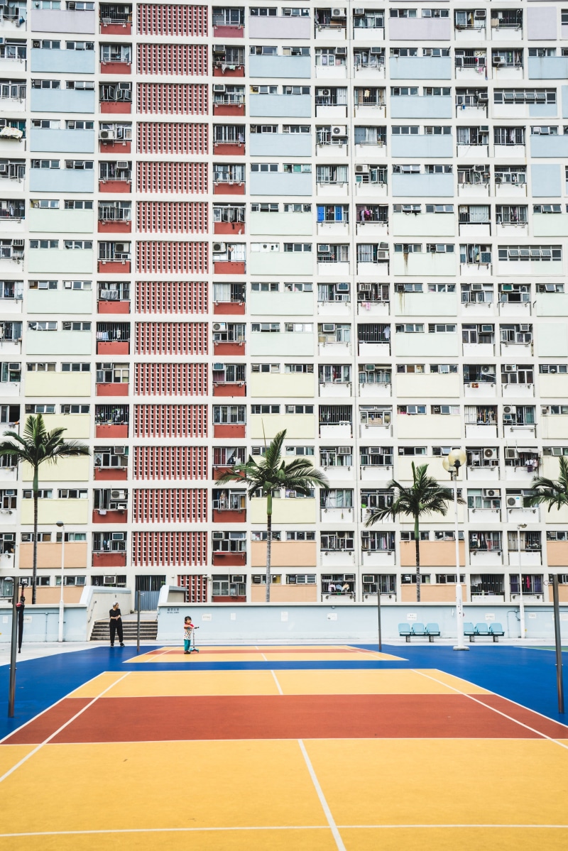 building exterior, sunlight, city, outdoors, trees, panes, windows, residential district, no people, coconut, apartment, absence, building, architecture