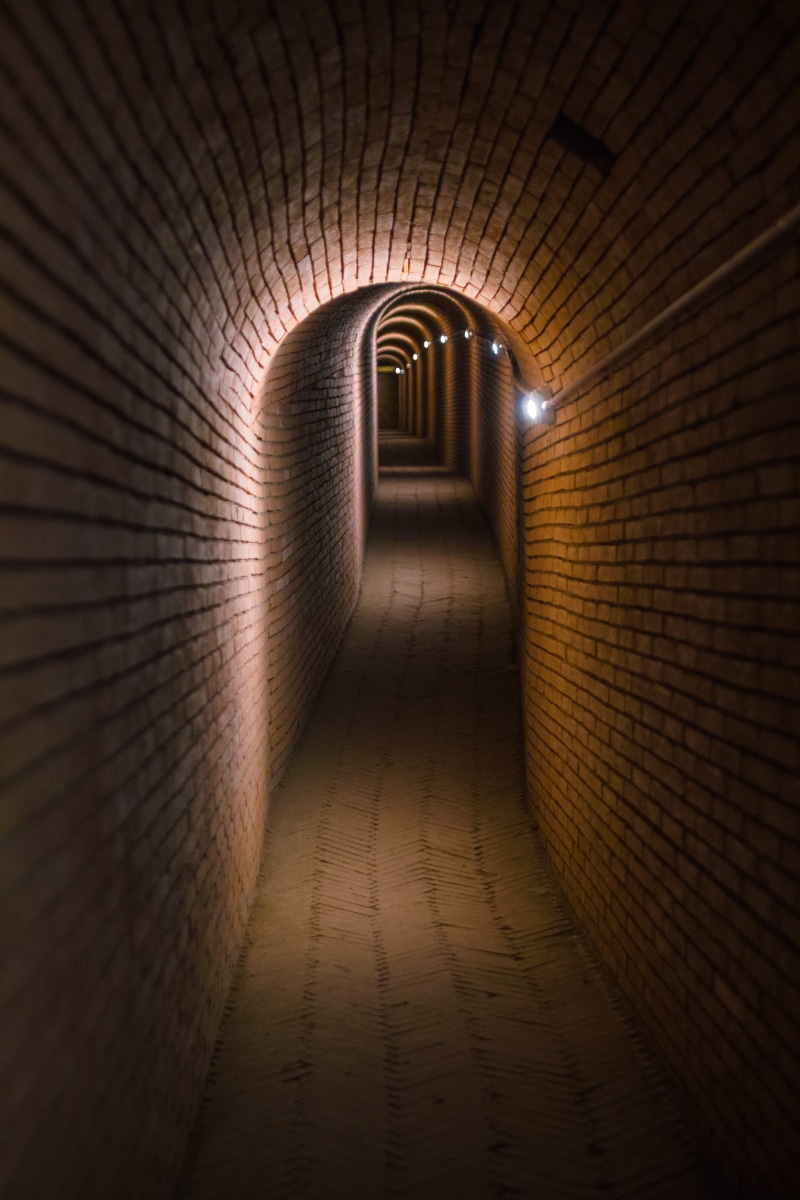 college, arch, prison, concrete, maze, aisle, brown, brick, brick wall, moody, crypt, underground, illuminated, ominous, diminishing perspective, cellar