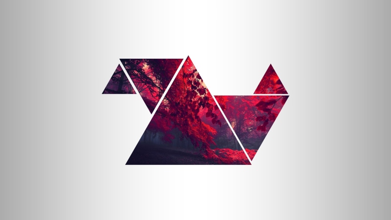 art, cars, 2K, Triangle, 2560x1440 px, x, bmw, forest, red, px, hd