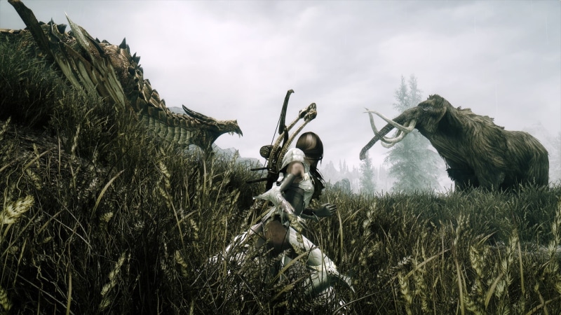 statue, Dovakhiin, land, plant, 1080P, digital, mammoths, dragon, female, grass, day, low angle view, nature, representation, working, government