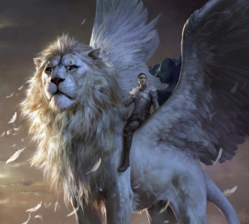 girl, concept art, artwork, Chimera, leather armor, armor, wings, fantasy, feathers, mythological creature, creature, lion, warrior, 1080P, mythology