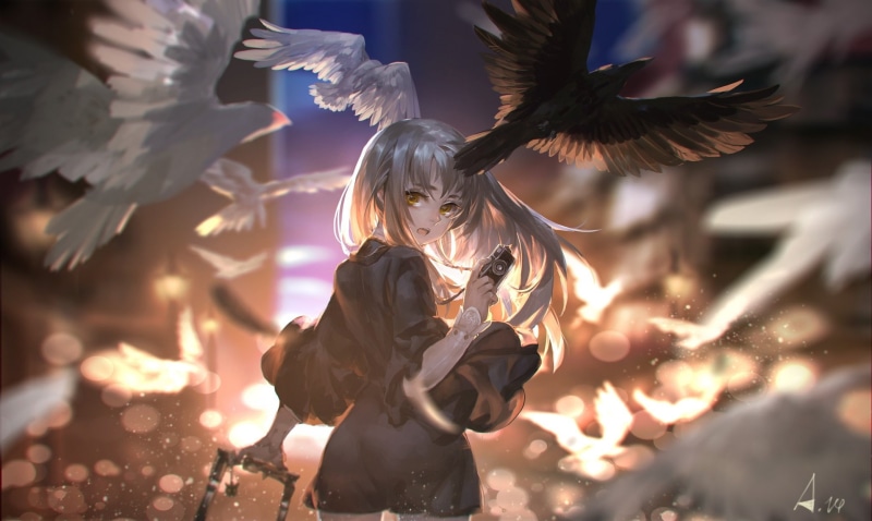 pixiv, bird, alcd, animal, 1080P, camera, fantasia, gray, signed, eyes, yellow