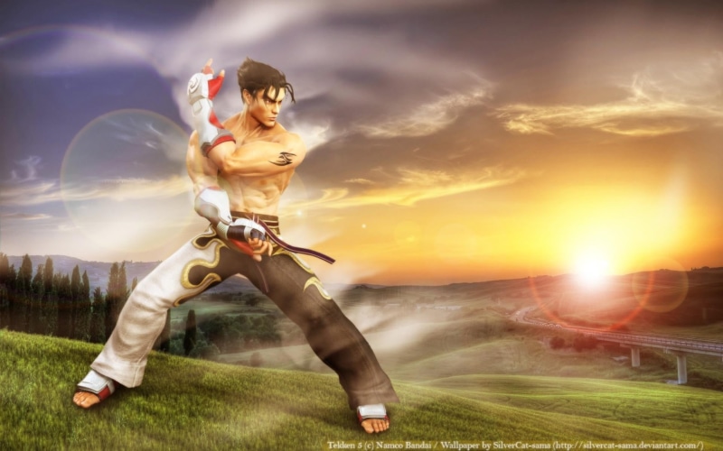 plant, activity, adult, young adult, 1080P, outdoors, jin, leisure activity, full length, lens flare, one person, Jin Kazama, digital composite, sport