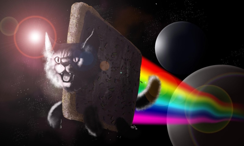 nyan, 1080P, cat, animals, rainbow, poptart