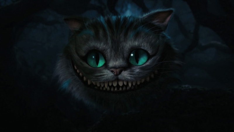 eye, domestic, people, feline, looking at camera, mammal, Cheshire Cat, whisker, portrait, animal eye, cheshire, movies, evil, pets, illustration, black background