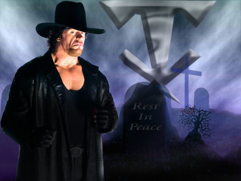 adult, wwe champion, wrestler, taker, the undertaker, super star, WWE, senior men, long, black color, looking, dark, communication, males, 480P, portrait