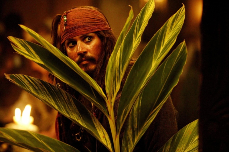 growth, one person, emotion, looking at camera, leaf, men, human face, sadness, portrait, Johnny Depp, plant, Pirates Of The Caribbean: Dead Mans Chest