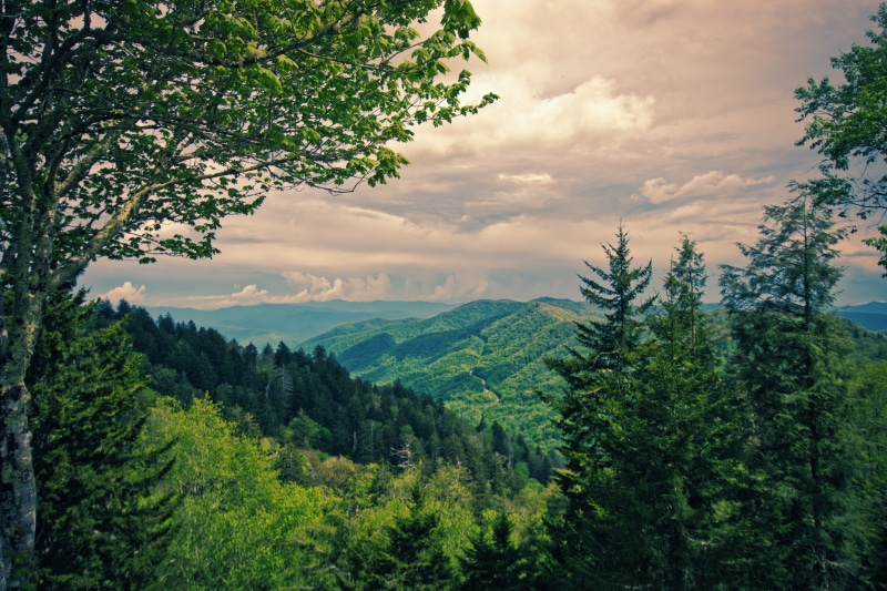 clouds, nature, panorama, landscape, idyllic, mountains, national park, green color, usa, tree, green, tranquility, forest, distant view, mood, positive emotion