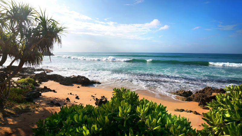 caribbean, tropics, sea, 4K, beach, sky, water, wave, palm tree, ocean, bay, coast, arecales, body of water, shore, coastal and oceanic landforms