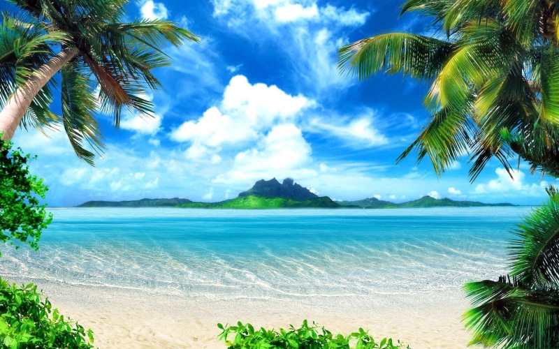 beach, nature, tropical, 2K, background