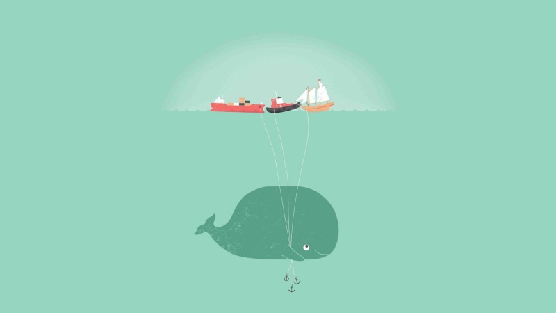 sky, inflatable, copy space, hanging, nature, boats, minimalism, whale shark, flying, nautical vessel, floating on water, 1080P, mode of transportation