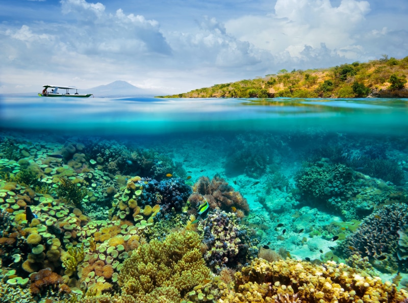 Corals, Reefs, beauty in nature, Water, half, Underwater, scenics - nature, tourism, Fish, marine, Boat, undersea, sea life, photography, tranquil scene