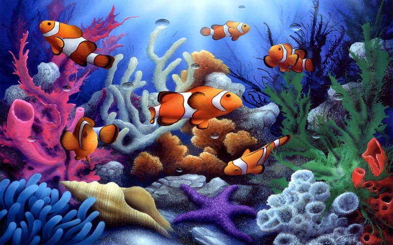 reef, group of animals, ecosystem, colorful, animal, swimming, undersea, underwater, marine, coral, water, sea, no people, animals in the wild, large group of animals