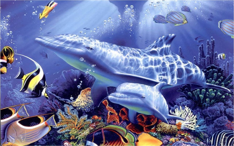 colorful, colors, fish, various, exotic, art, underwater, horses, sea, 2K, world, animal, hd, coral, reef