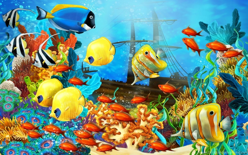 corals, background, animal wildlife, multi colored, sea, water, fish, creativity, colorful, no people, animal themes, hd, mobile, vertebrate, tablet, 4K