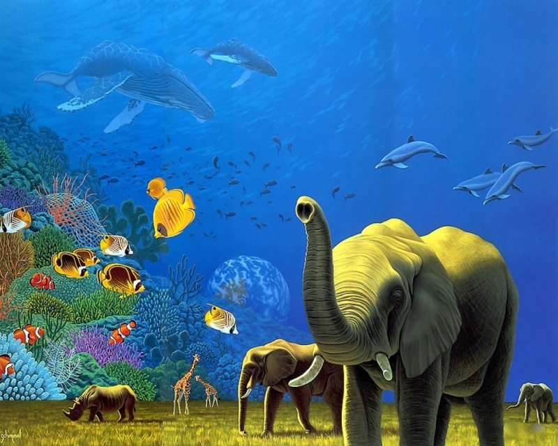 animals, savannah, dolphins, drawings, giraffes, art, 720P, FISH, hd, whales, underwater, x