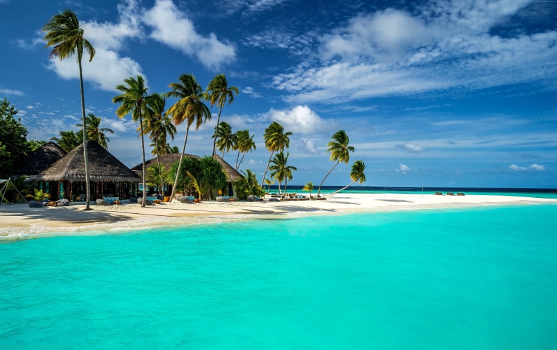 4k, shore, sky, Indian Ocean, 8k, Maldives, Best Beaches in the World palms, 5K, 5k