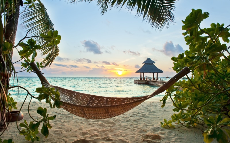 4K, holiday, nature, sunsets, desktop, mobile, sand, sea, tropical, phone, palm, beach, maldives