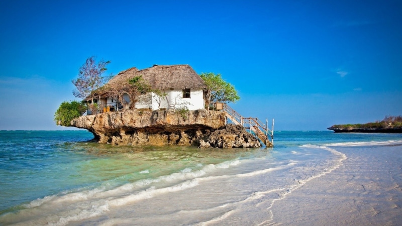 Rock, Tree, Seashore, Zanzibar, Funny, Stairs, Buildings, House, 1080P, Tanzania