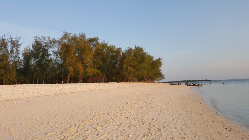 landscape, sand, land, nature, tranquil scene, pine tree, non-urban scene, zanzibar, tree, kendwa, tranquility, outdoors, sea, day, beach, travel, environment