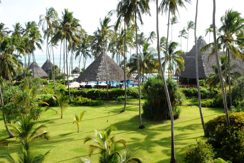 leisure, trees, Tropical, growth, palm, vacation, island, palm tree, outdoors, Zanzibar, day, tanzania, Ocean, tranquil scene, ocean paradise, scenic, no people