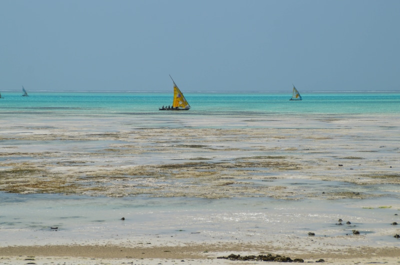 land, africa, world, water, nautical vessel, beauty in nature, transportation, 5K, tranquility, beach, tanzania, horizon over water, sky, mode of transportation