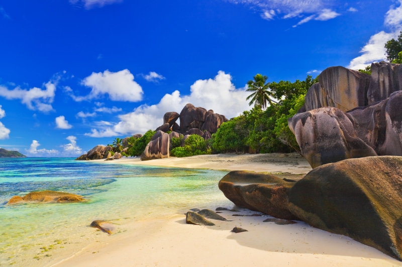 stone - Object, seascape, day, thailand, tranquility, andaman Sea, exoticism, 4K, palm Tree, water, outdoors, wave, relaxation, rock formation, landscape