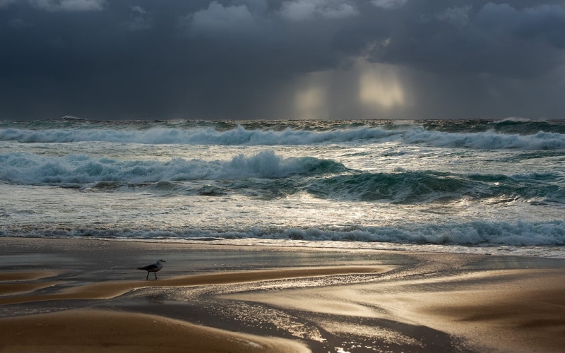 ocean, sky, water, beach, scenics - nature, non-urban scene, wave, 720P, Australia, overcast, nature, cloud - sky, waves, sea, Sydney, power in nature