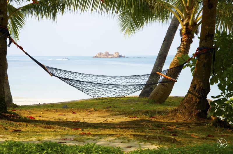outdoors, land, no people, relaxation, blue, coconut palm tree, swing, plant, vacation, tropical tree, tranquil, resort, beautiful, palm, tourism, island