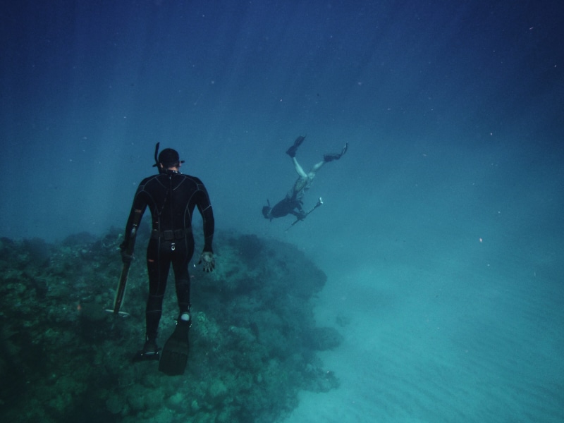 freediving, scuba diving, full length, exploration, animal wildlife, blue, marine, diving equipment, nature, adventure, sea, aquatic sport, 4K, reefs