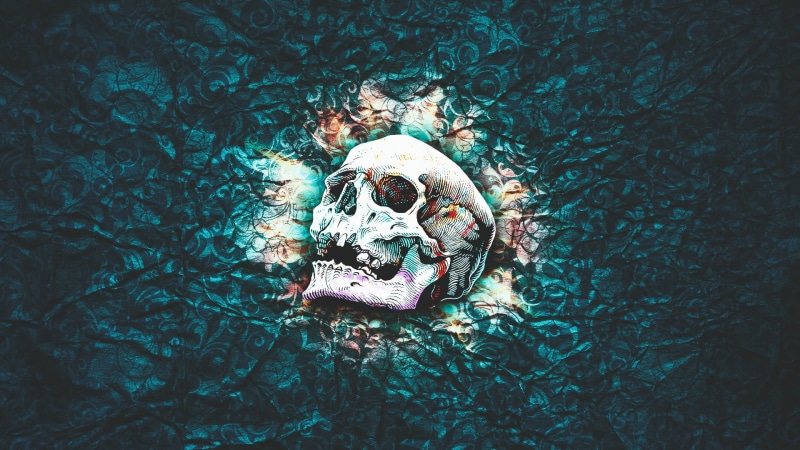 animal themes, high angle view, no people, pattern, skull and bones, animal skull, plant, close-up, abstract, bone, waterfront, painting, texture, skull