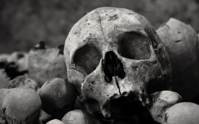 human skull, old, still life, the past, history, human bone, human skeleton, focus on foreground, skull, fear, 720P, horror, close-up, bones, spooky, cemetery