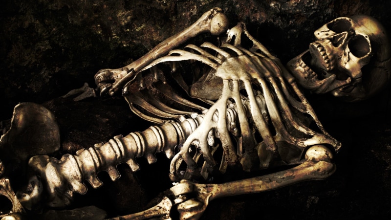 1080P, skeleton, skull, bones