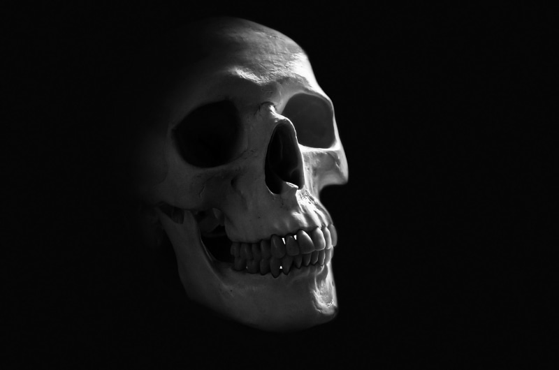studio shot, head, horror, human, part, still life, hell, death, life, bone, dead, halloween, close-up, sapience, poison, representation, face, human body part