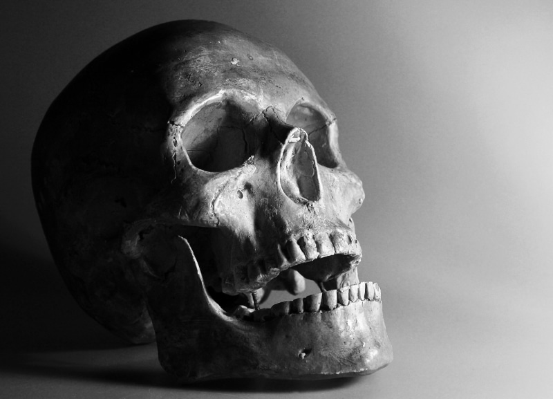 body part, bone, skeleton, gray, horror, photography, close-up, single object, dead Person, human Skull, indoors, death, human skeleton, human representation