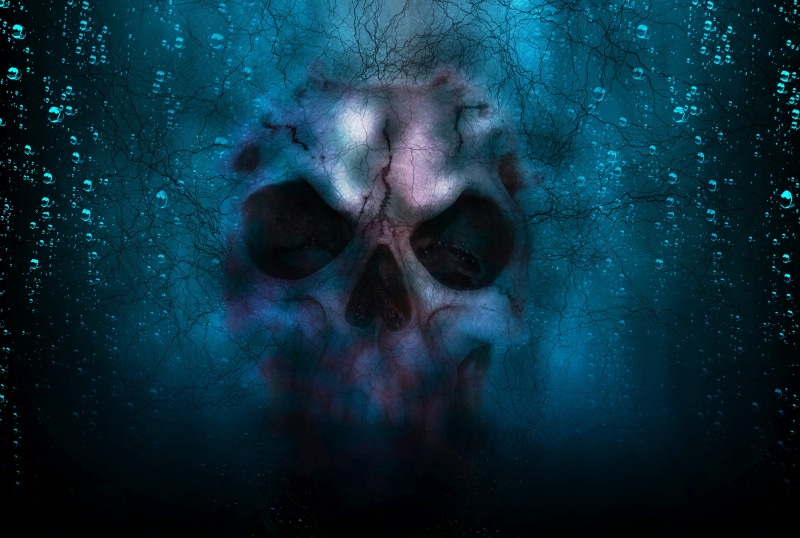 head, scary, digital composite, bone, gray, gothic, horror, blue, human face, skeleton, face, shock, 4K, death, halloween, celebration, close-up, human body part