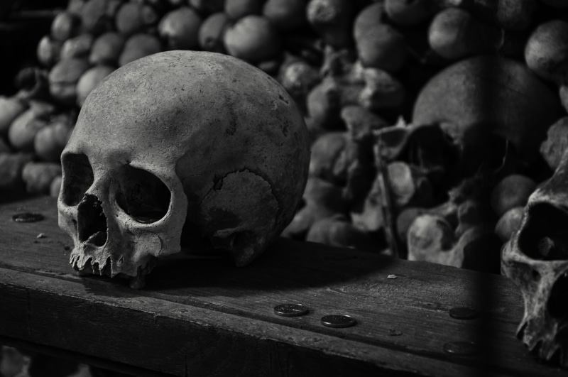 photography, death, christianity, czech, ossuary, human, indoors, human bone, skull, still life, cemetery, halloween, horror, wall, kutna hora, human skeleton