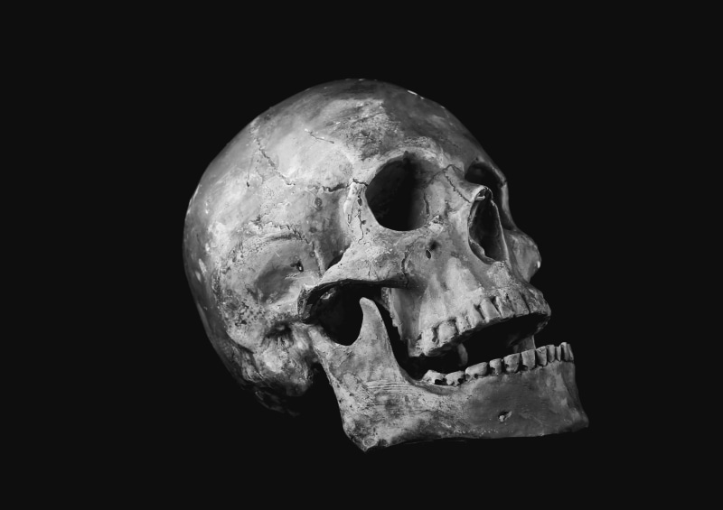 indoors, black background, archaeology, halloween, close-up, death, horror, dead, helplessness, bone, history, science, still life, skull, human, photo