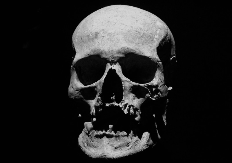 close-up, human, body part, studio shot, 5K, human skeleton, death, skull, indoors, human bone, jaw, maxilla, skeleton, still life, teeth, ominous, human skull