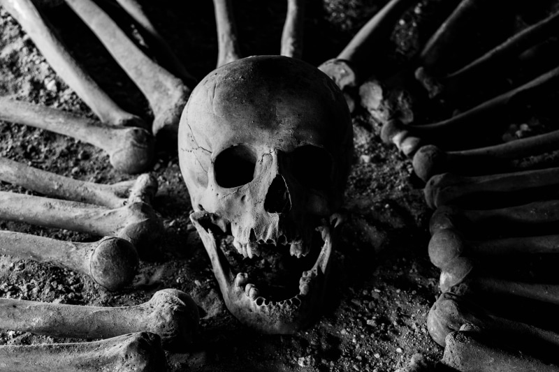 the past, human skull, fatal, horror, still life, human body part, dark, human skeleton, warning sign, bones, indoors, close-up, danger, pirate, 5K, death