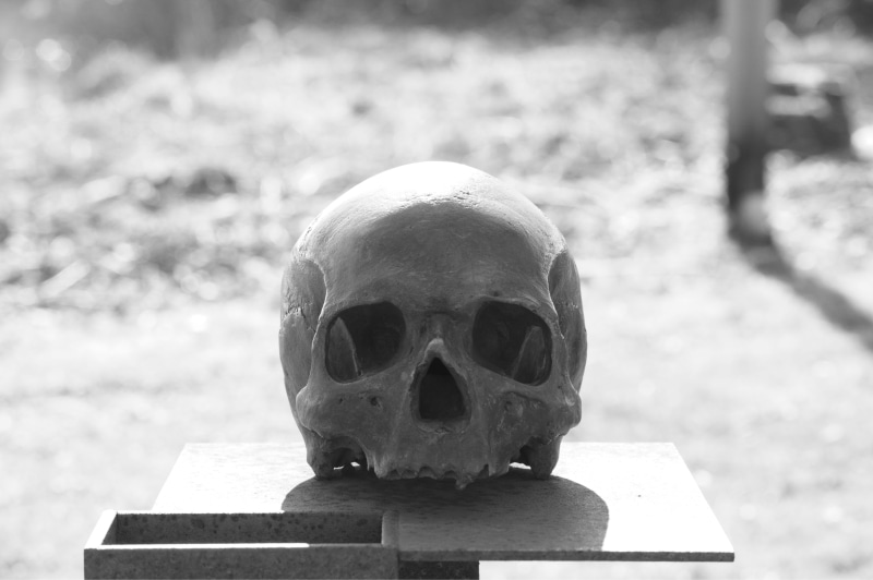 day, grayscale, outdoors, skeleton, weird, skull and crossbones, skull, focus on foreground, fear, spooky, bone, horror, death, head, skull bone, human bone