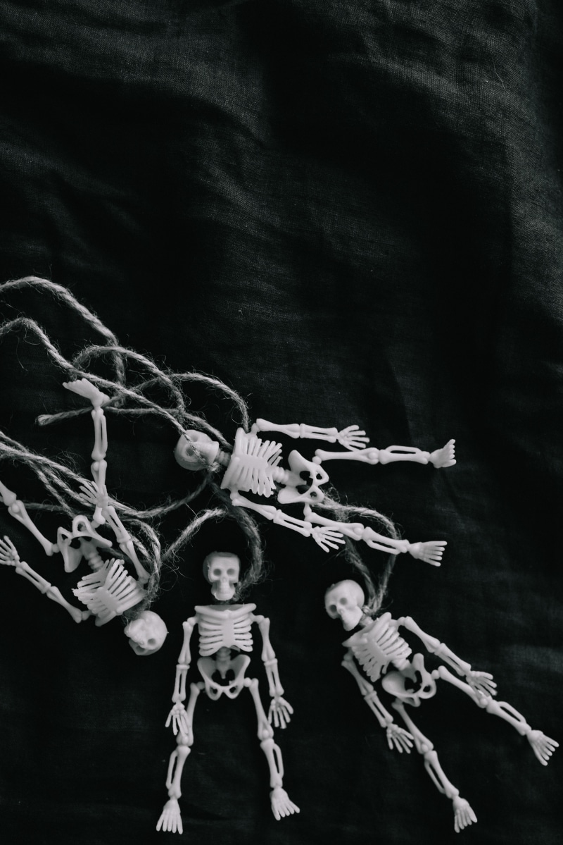 bones, death, human representation, scary, black background, representation, dead, october, looking at camera, skeleton, offspring, anatomy, family, hanging