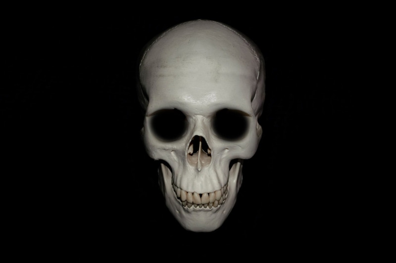 ominous, evil, cranium, close-up, face, human skull, dead, background, eyes, human, skull, sign, life, fear, jaw, object, medical, halloween, human bone