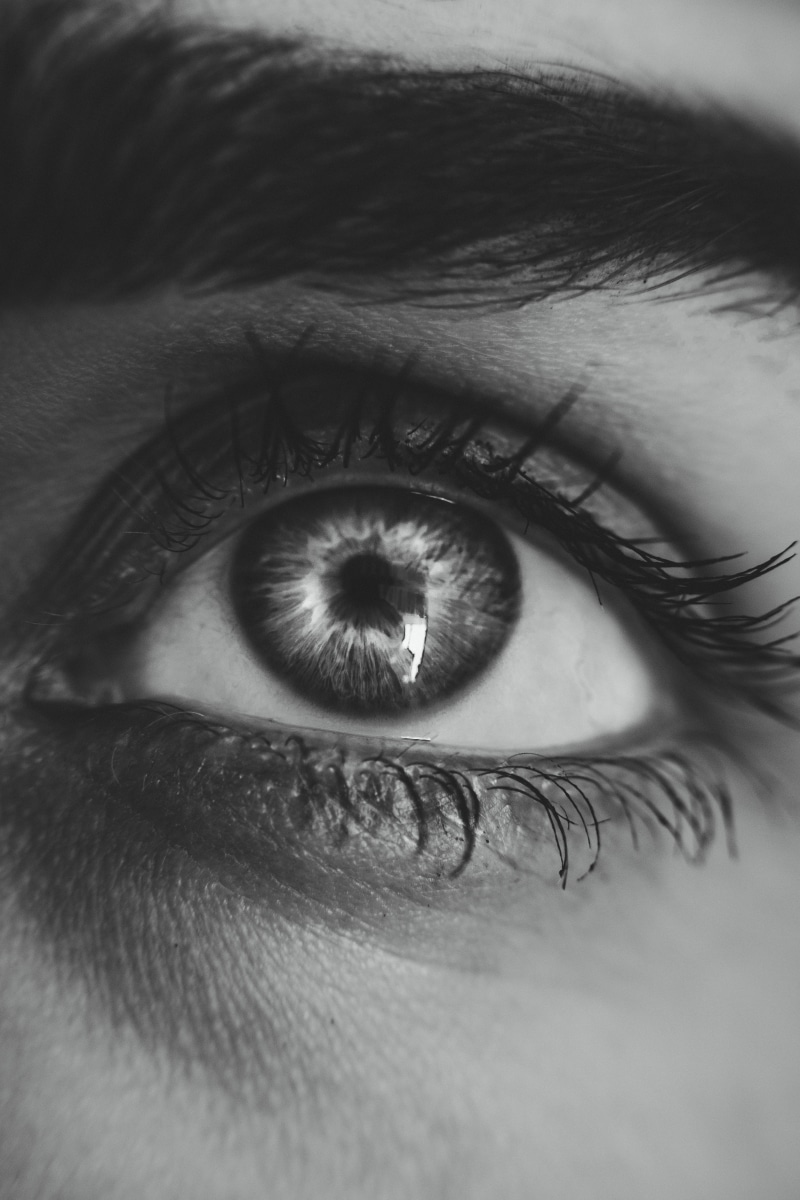 sight, macro, eyeball, eyelash, eyebrow, 5K, eyesight, sensory perception, person, iris - eye, vision, human eye, body part, close-up, eye, eyelid, looking at camera