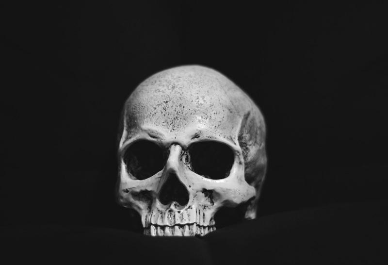 1080P, monochrome, bones, skull