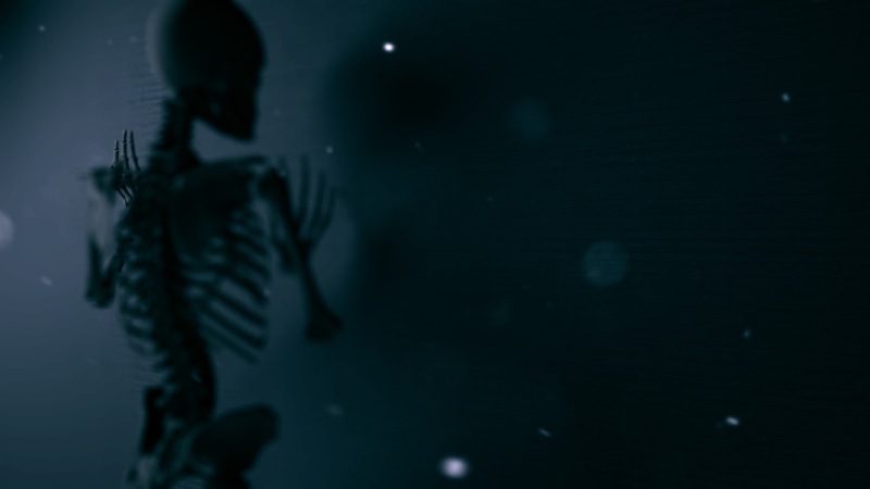 artwork, dark, night, bones, outdoors, marine, sea, 1080P, silhouette, aquarium, swimming, one person, vertebrate, tank, water, underwater, group of animals