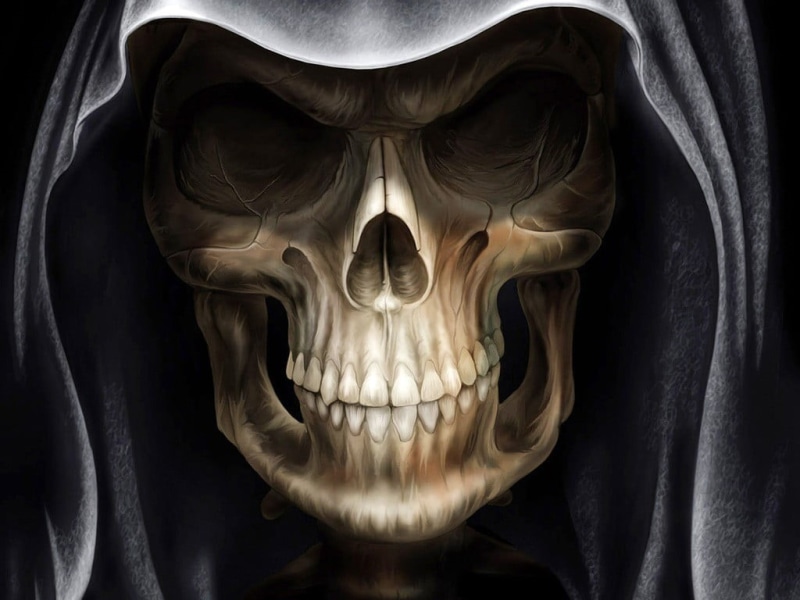 close-up, human representation, spooky, skull, human skeleton, people, human teeth, anatomy, human body part, human bone, art and craft, skeleton, studio shot