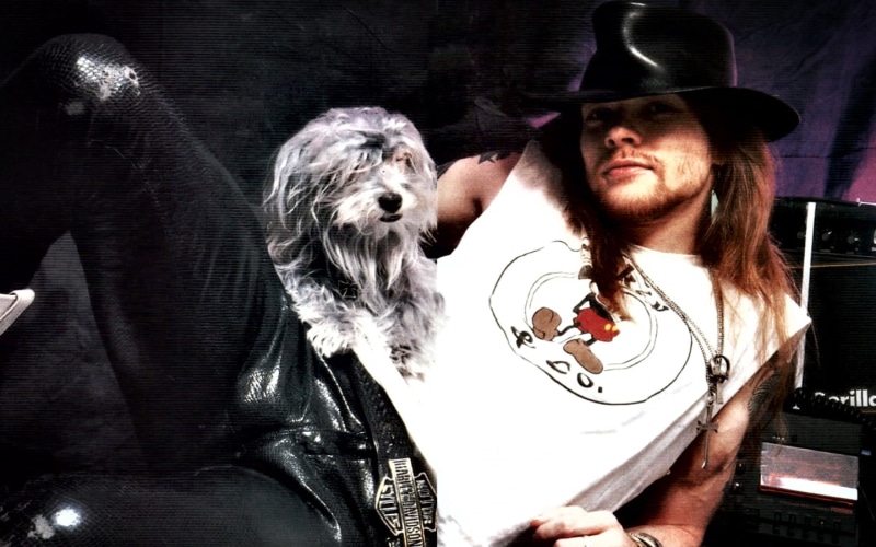 axel, metal, rock, males, hard, rose, heavy, groups, roses, 720P, bands, people, men, guns
