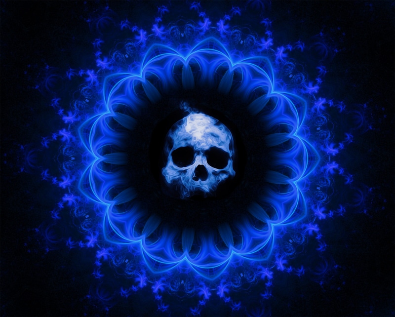 human skull, indoors, purple, spooky, pattern, shape, design, full frame, halloween, dark, death, flowers, creativity, craft, horror, fantasy, glowing